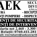 Aek Security Division, agentie de securitate